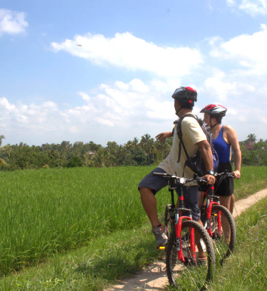Cycling with Guide