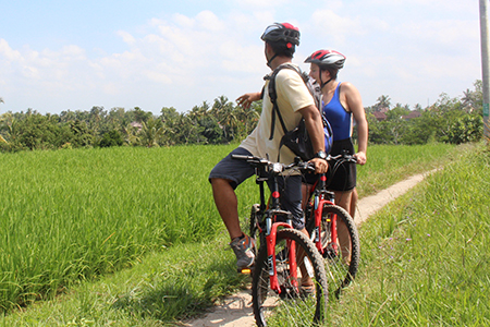 Cycling Tour Package with Min 3N stay